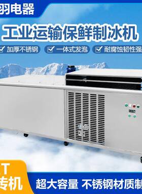厂家直销湛江海边渔业冰鲜制冰机水果蔬菜冰块机冰砖机设备
