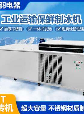 厂家直销湛江海边渔业冰鲜制冰机水果蔬菜冰块机冰砖机设备