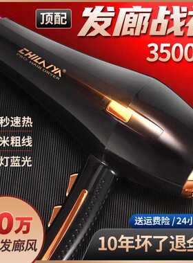 德国电吹风机家用大功率发廊专用理发店3500w负离子护发速干鎏金
