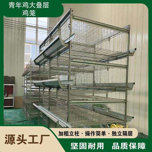 厂家生产全自动大层叠蛋鸡笼小自动化养殖设备搅拌机机械捡清粪机