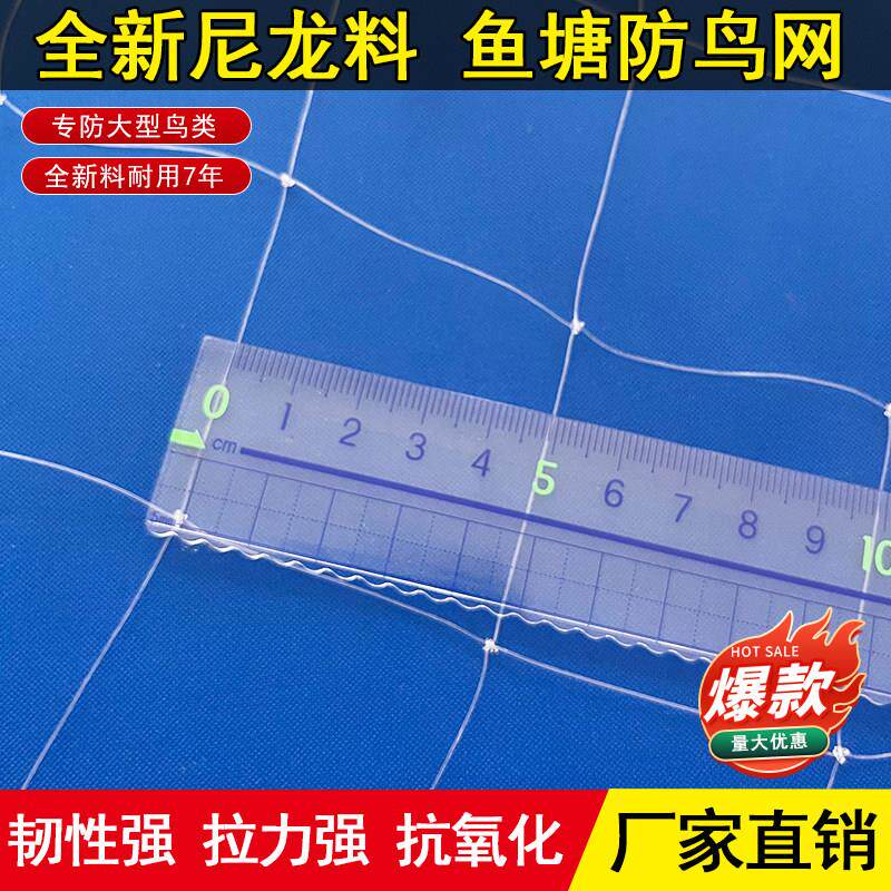 鱼塘专用大网孔防鸟网泥鳅鱼苗青蛙龙虾养殖防护网养殖天网防鸟网