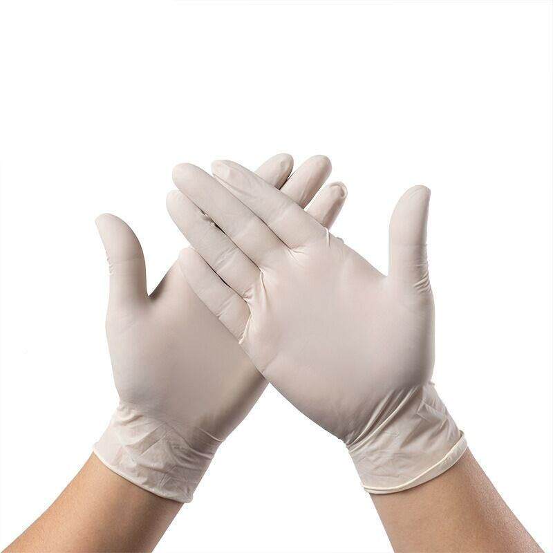 P一次家性手套乳胶橡胶食品餐明饮丁腈65082VC透厨房务高弹女加厚