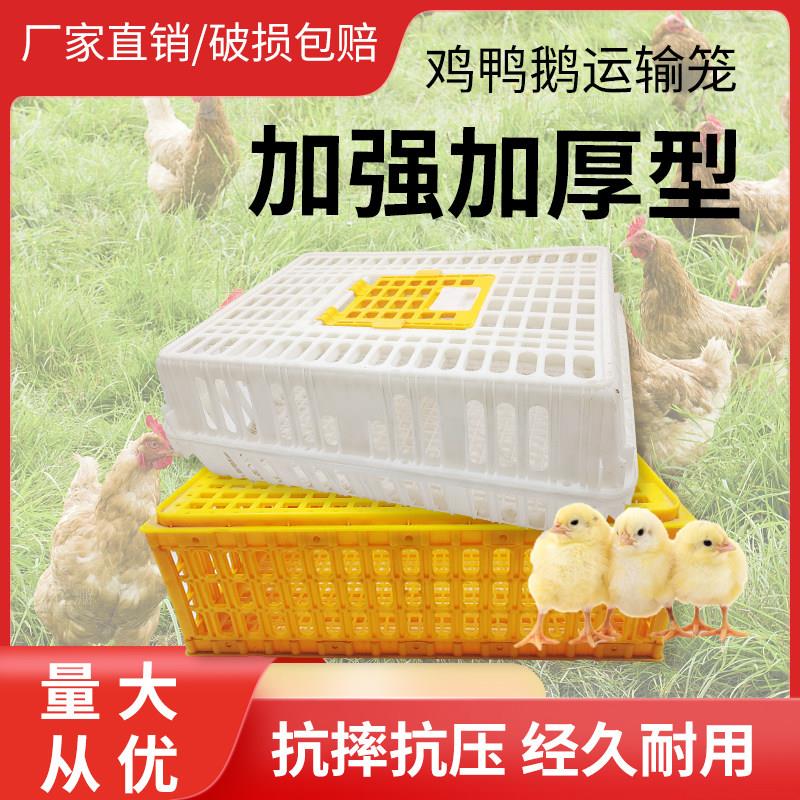 鸡笼运输笼塑料筐家禽周转箱鸡鸭鹅鸽笼装鸡周转鸡笼子大号养殖笼