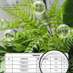 仿真绿植造景组合大型室内景观橱窗装 饰商场仿生假植物树家居饰品