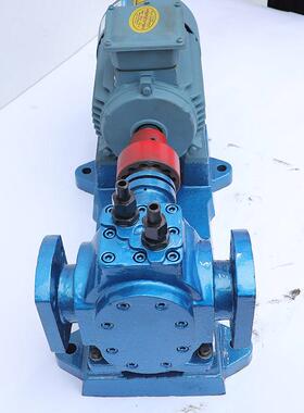RCB12粘稠物料输送泵口径55配电机4kw-6用于江山化工集团