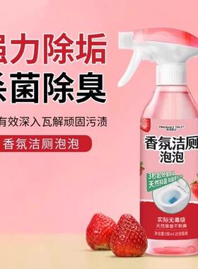 Aromatic toilet cleaner foam, powerful and fast-acting, remo