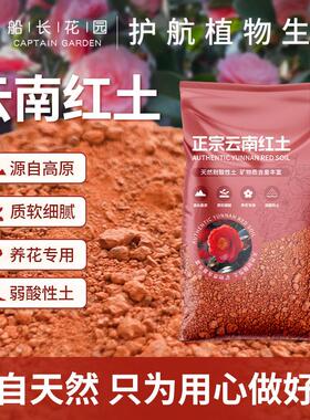 云南红土高原喜酸植物通用红泥土茶花蓝莓盆景茉莉花专用风化土壤