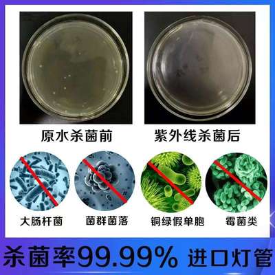 紫外线消毒器水处理设备管道式过流式水箱中压杀菌灯灭菌仪可定制