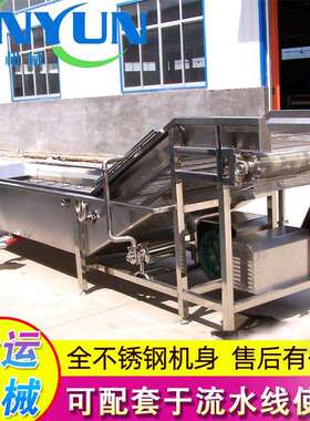 厂家供应喷淋式果蔬清洗机葡萄气泡清洗设备车厘子气泡清洗机