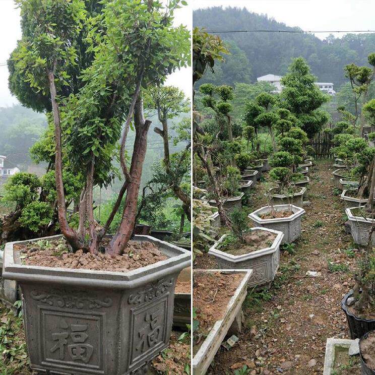 制品加厚水泥花盆模子模具八角形各种圆形硅胶底部护栏灌浆浇筑