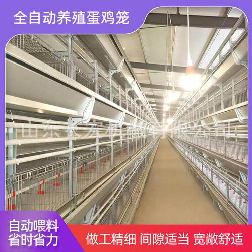 鸽子笼肉鸡H型鸡笼蛋鸡笼养殖场层叠式自动肉鸡A型鸡笼多层鹌鹑笼
