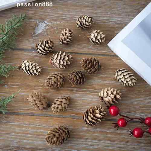 Pinecone Christmas Tree Decoration Dried Flowers圣诞树装饰