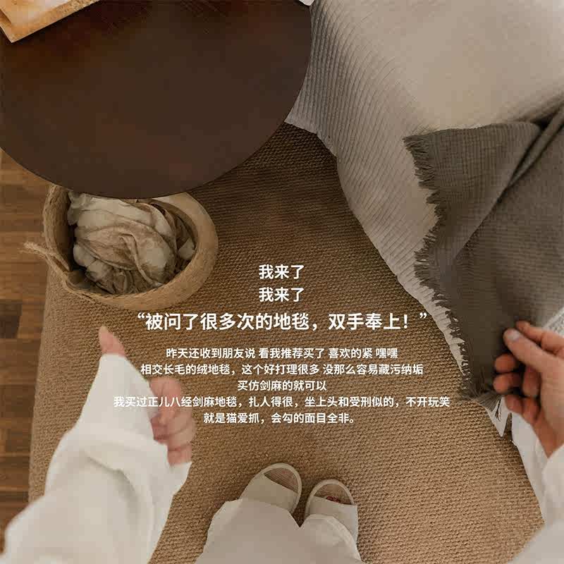 仿剑麻地垫地毯客厅床边毯轻奢高级ins风全铺大面积防滑凉席垫子
