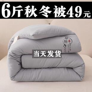 冬季被子冬被棉被学生宿舍单双人加厚保暖丝绵春秋被芯空调秋凉被