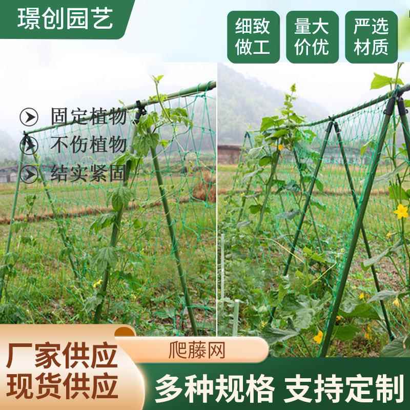 植物爬藤网豆角蔬菜吊瓜丝瓜黄瓜尼龙网支架网园艺种植攀爬网农用