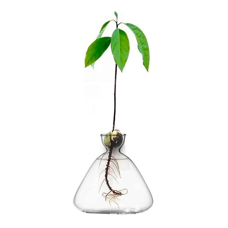 创意玻璃瓶水培植物容器绿萝养花小花瓶干花插花客厅摆件装饰花盆