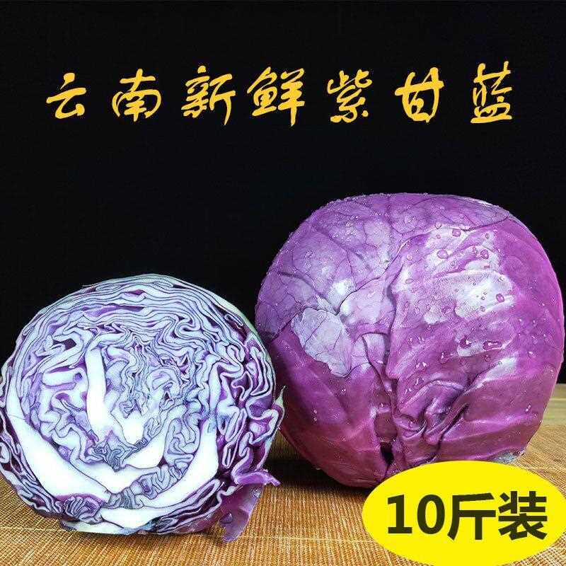 云南新鲜蔬菜紫甘蓝带箱10斤农家卷紫包菜沙拉椰菜卷心菜现摘包邮