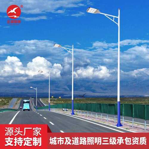 批发市电路灯杆户外防水乡村LED路灯市政道路工程路灯定制