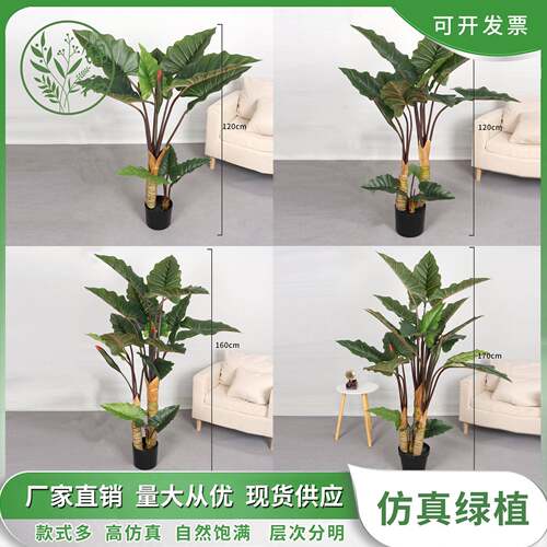 仿真绿植石斑彩虹芋家居商场人造彩虹芋大型落地盆景假树造景装饰