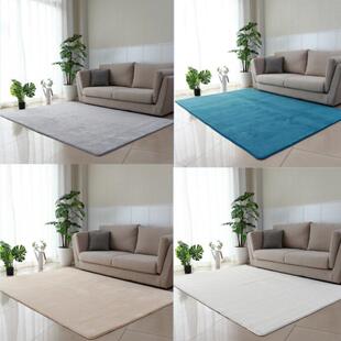 加厚地毯客厅茶几阳台地垫卧室少女飘窗床边地毯房间办公满铺脚垫