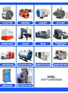 生生物质蒸汽锅炉食品加工1-4汽吨LSC生物热水锅炉质生物质蒸发器