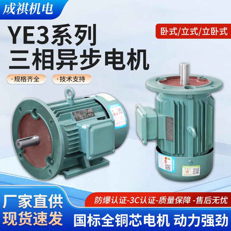 三相异步马达380v电机0.75 1.1 1.5 3 4KW YE3高效节能全铜电机