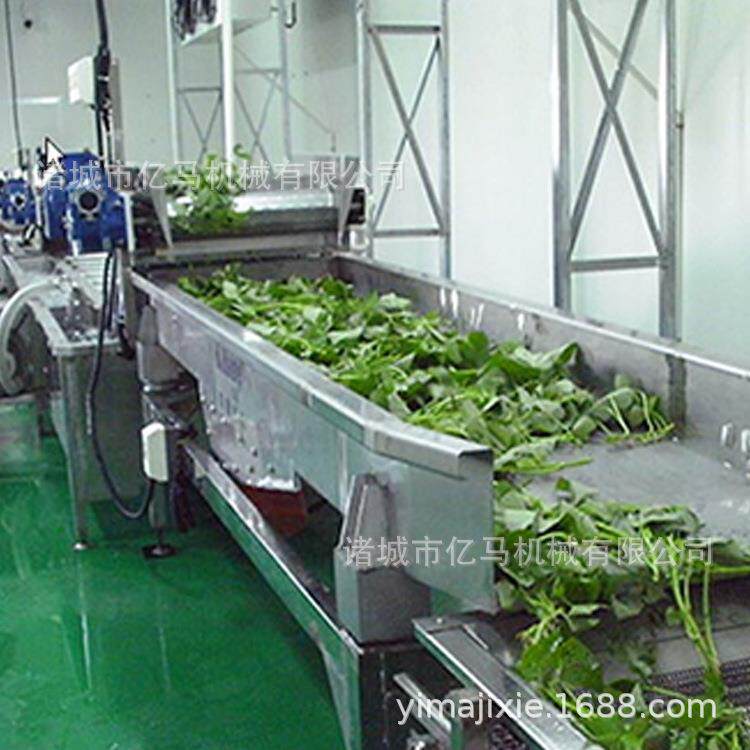 毛豆挑选清洗加工清洗线蚕豆清洗机厂家酱菜加工清洗机器价格