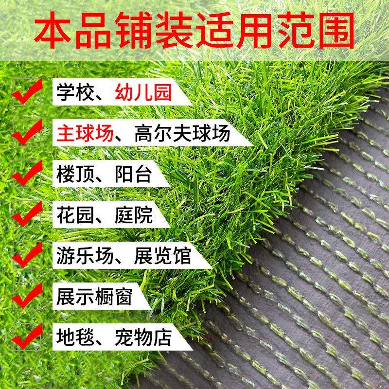 新款直销幼儿园草坪彩虹跑道仿真户外人工景观草装饰人造休闲户外