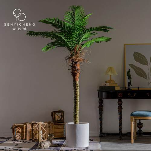 针葵棕榈尾散葵绿植物盆栽室内客厅造景植装饰椰树大型OC-6687假