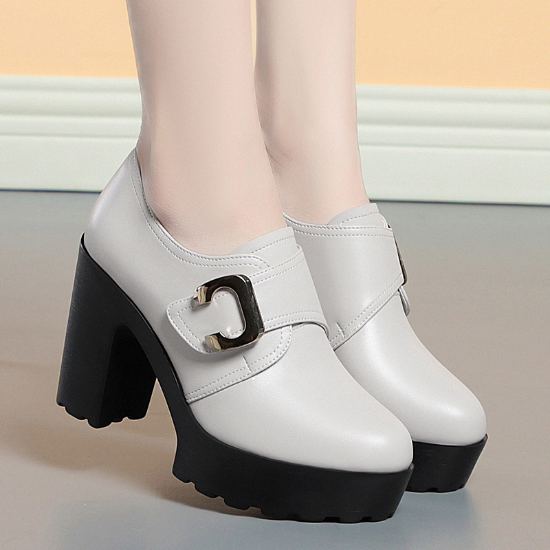 欧洲站深口单鞋女秋秋款2024新款气质高跟女鞋9cm防水台粗跟皮鞋