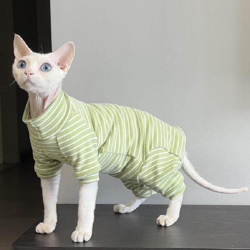 斯芬克斯德文猫衣服无毛猫四脚护肚保暖衣德绒舒适加厚条纹