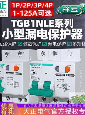 天正TGB1NLE漏电开关2P漏保空气开关63A三相漏电断路器家用保护器