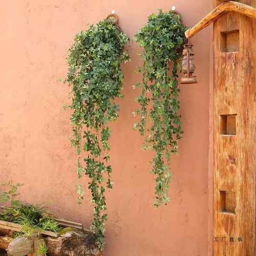 植物子绿户外假花藤条藤蔓墙壁植绿阳台墙萝面遮叶F5M75S8M挡装饰