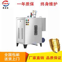 小型6KW电热蒸汽发生器全自动电加热蒸气机工业用节能锅炉免年检