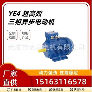 电机4极200kw卧式 山东华力华瑞众泰大泰YE4 200 马达电机 315L