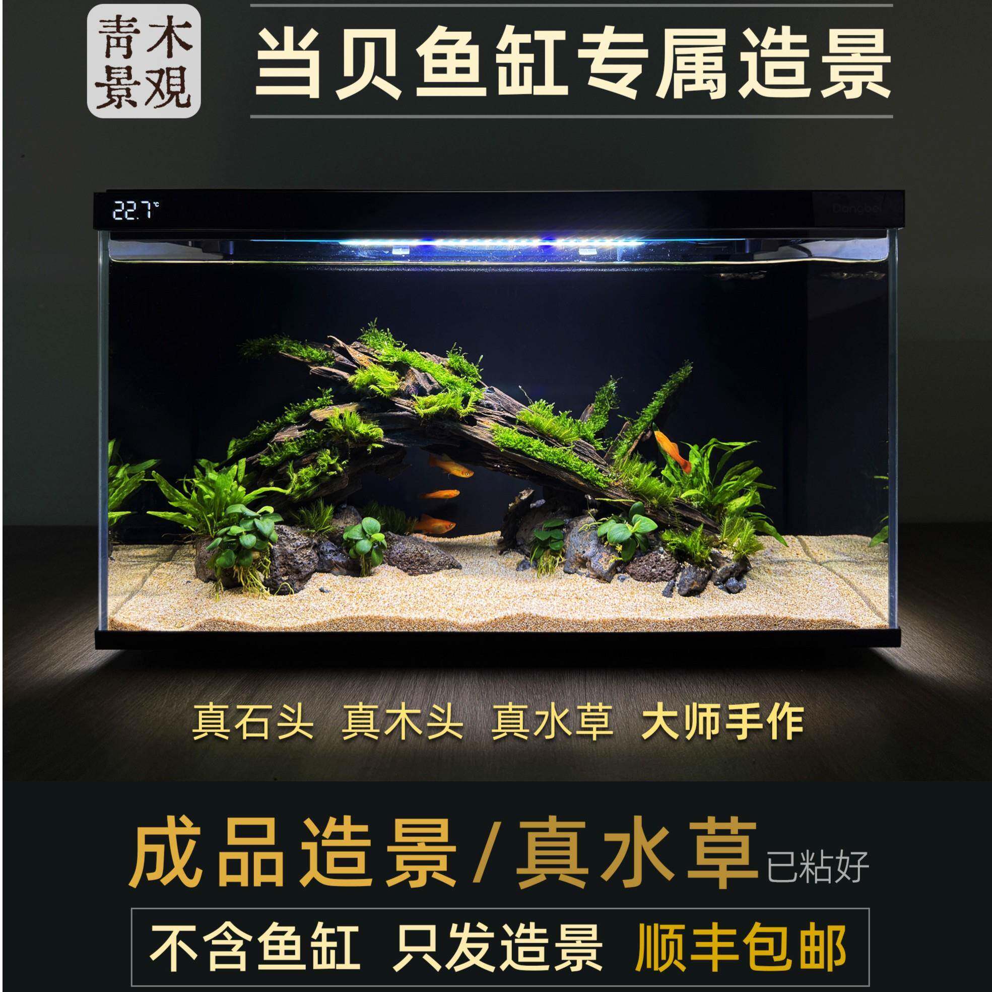 当贝智能鱼缸造景套餐真水草生态摆件全套装饰品水族箱水草缸