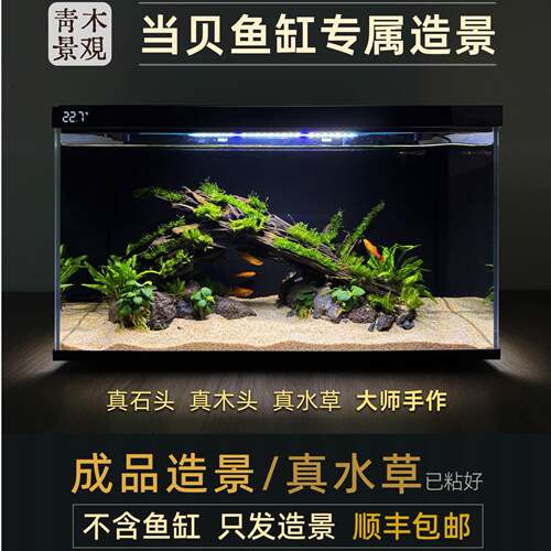 当贝智能鱼缸造景套餐真水草生态摆件全套装饰品水族箱水草缸