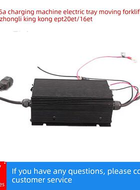Esch48V5A充电器电动托盘搬运叉车充电器中力大孔Ect20Et/16Et