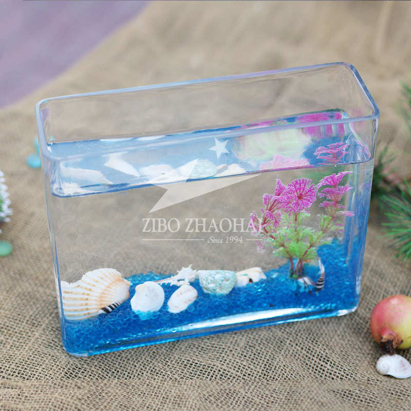 厚实长方形水培小型超缸容器透明鱼缸水族箱创意桌面玻璃虾白植物