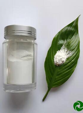 九朋30nm纳米二氧化硅（环氧树脂专用）亲油改性CY-SP30S