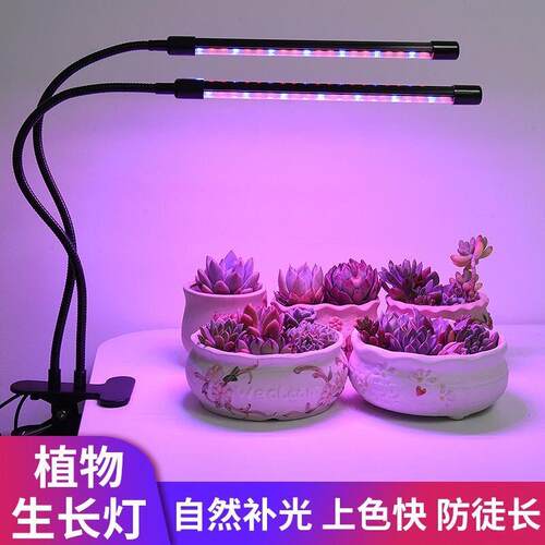 全光谱彷太阳光植物生长灯室内家用多肉上色补光灯LED紫光灯花卉