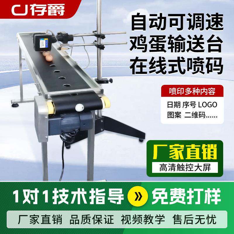 可调控全自动喷码机输送台流水线激光打码机鸡蛋输送皮带定制
