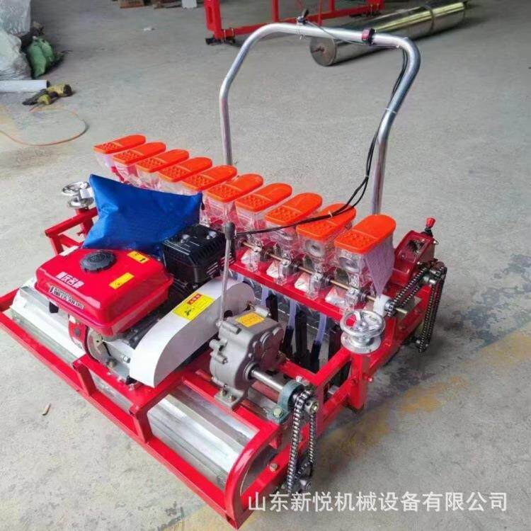 手推式小型人力蔬菜播种机白菜萝卜精播机洋葱油菜育苗播种机