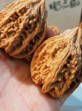 特价核桃拍卖9月26大沽石