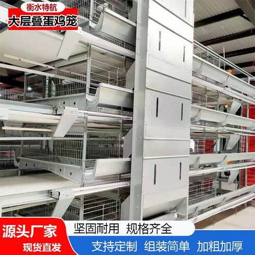 大层叠蛋鸡肉鸡笼全自动清粪捡蛋设备镀锌丝养殖设备