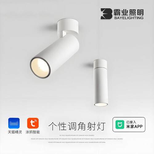 明装射灯折叠摇头可调角度免钻孔吸顶简约涂鸦zigbee防眩无主灯