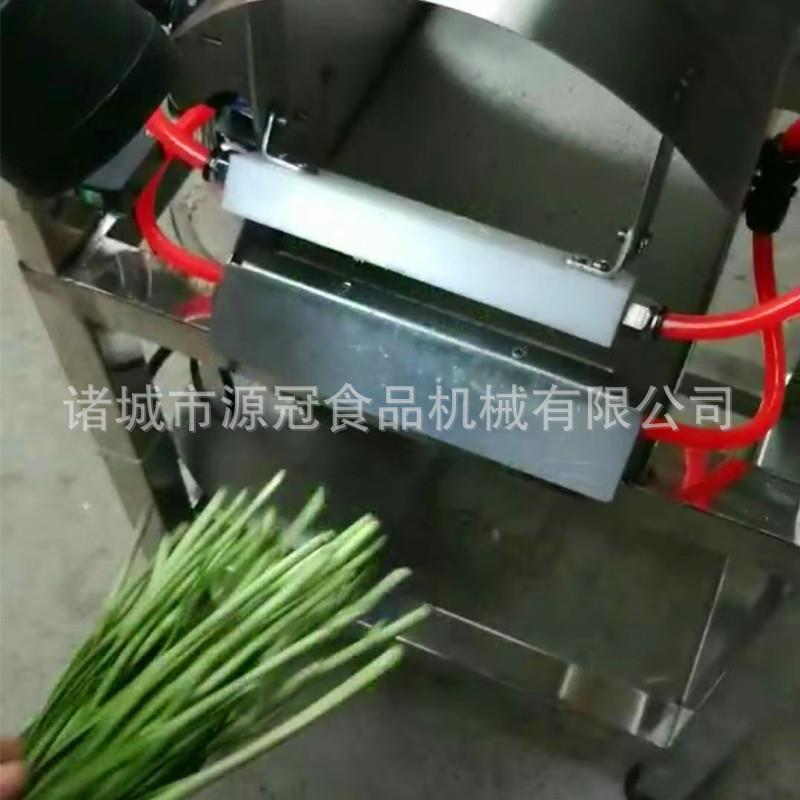 商用韭菜干式去皮机自动感应大葱去泥吹皮机蒜黄去沙净菜设备