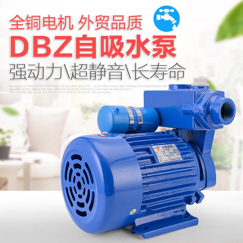 DBZ电动单相自吸泵农用家用增压泵闽东水泵口径25MM耐用