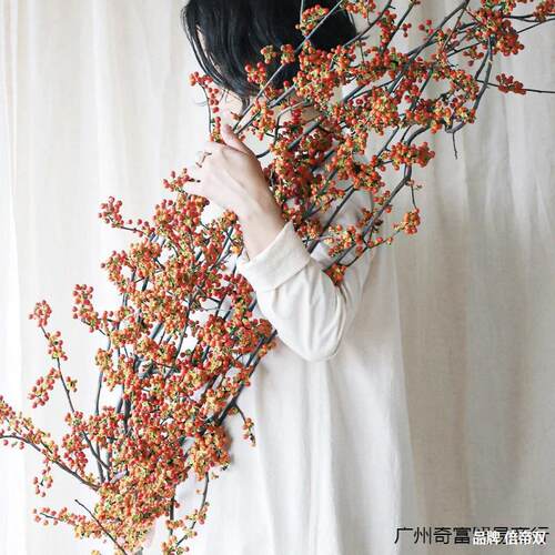 蛇藤干花观赏艺术花材南蛇藤树枝客厅桌面墙面圣诞花束橱窗装饰