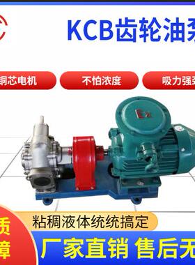 KCB齿轮油泵不锈钢防爆齿轮油泵2CY卧式齿轮泵高粘度齿轮泵